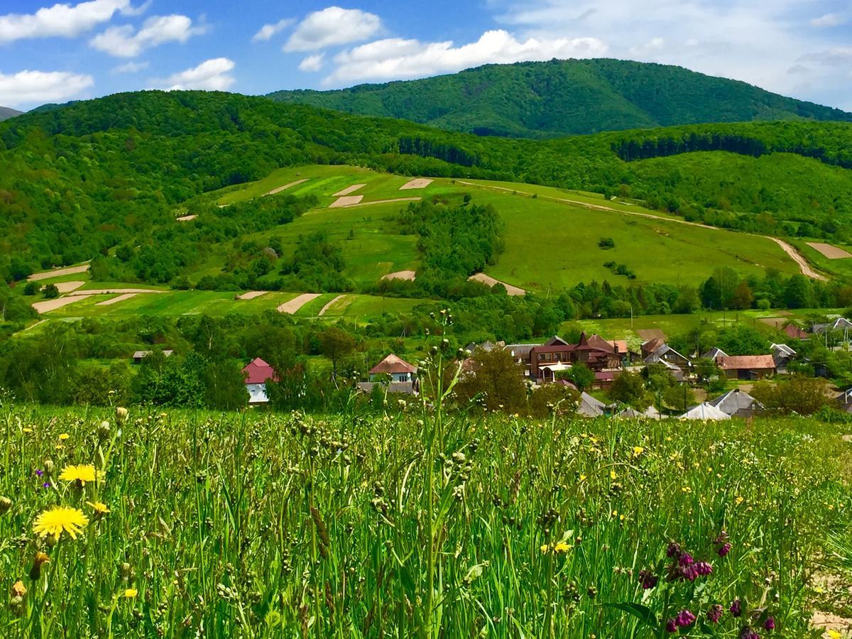 Minihotel Zolotoe Runo Ploskoye ภายนอก รูปภาพ